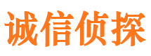 会东寻人公司